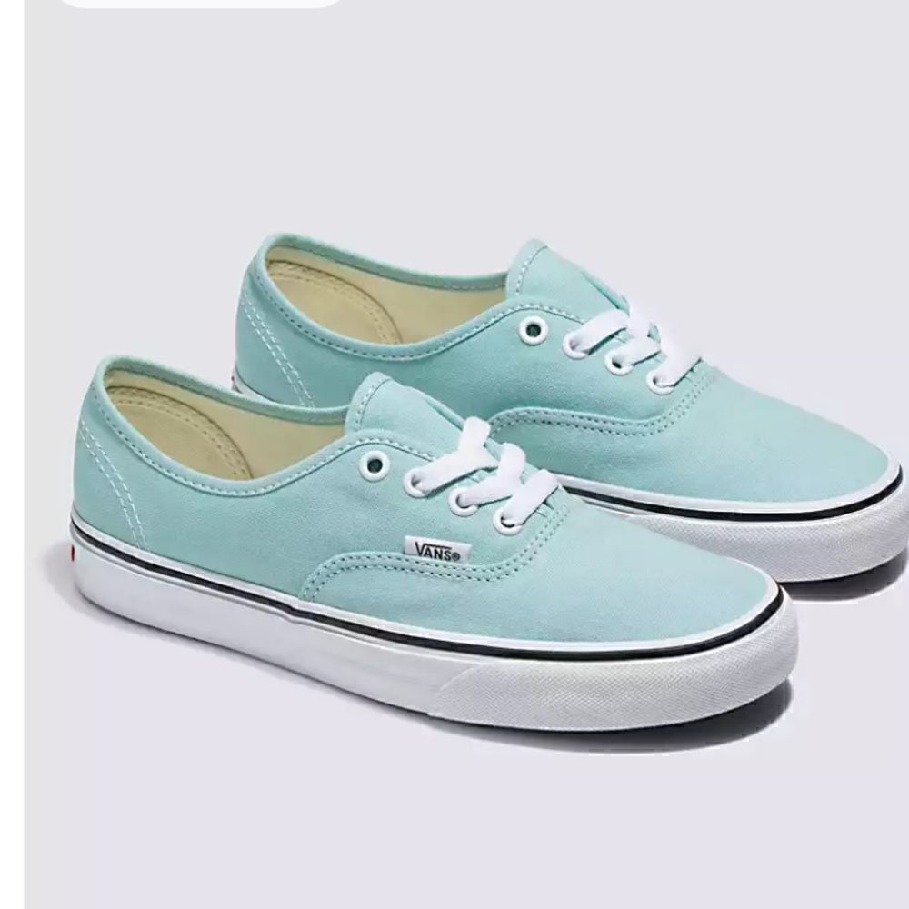 Vans Authentic shoes 